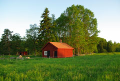 Smedja på Mickels i Forsa